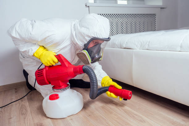 Best Real Estate Pest Inspections  in Williamston, SC